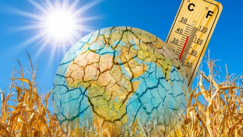 2024 წლის ზაფხული ყველაზე ცხელი იქნება სამყაროს არსებობის ისტორიაში – პლანეტას სიცხის ტალღები დაატყდება თავს
